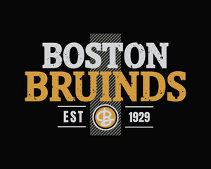 Vector illustration of text, BOSTON, perfect for the design of t-shirts, shirts, hoodies, undershirts, etc.