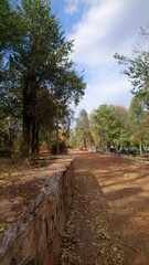 Beautiful autumn road view in Turkey