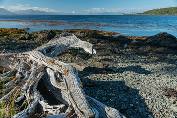 Fototapeta premium Cabo San Isidro - Punta Arenas - Chile