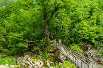 ilica waterfall,kastamonu,turkey