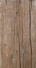 old wood texture