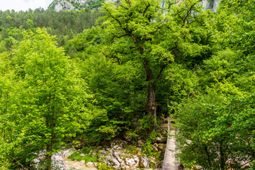 ilica waterfall,kastamonu,turkey