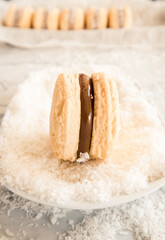 alfajor de cornstarch, typical of Argentina made with dulce de leche and coconut
