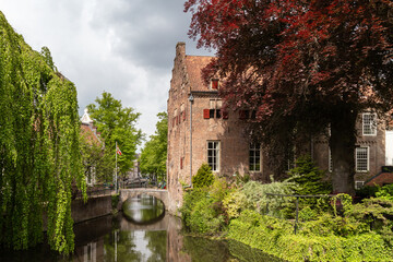 Fototapete bei efototapeten.de bestellen   