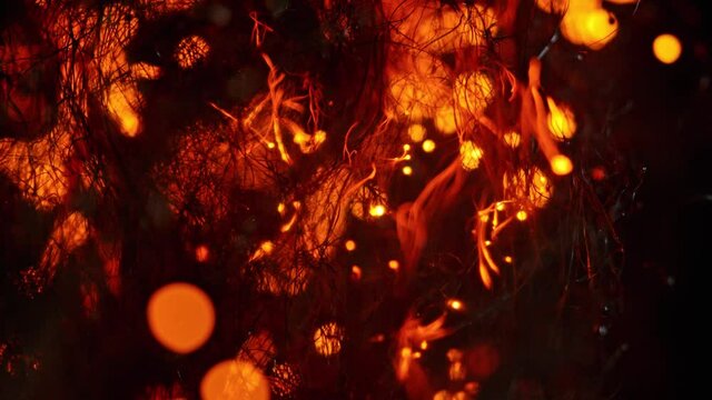 Sparks move through Steel Wool. Super Slow Motion at 1000 FPS.