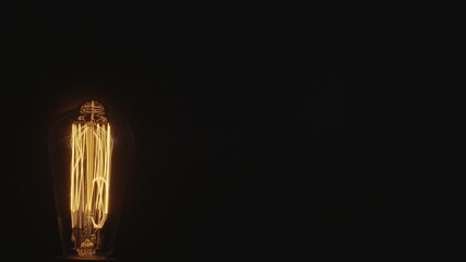 Żarówka Edisona, ozdobna żarówka na ciemnym tle  - obrazy, fototapety, plakaty