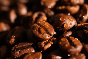 Macro closeup of pile fresh roasted organic wet coffee beans with water drops (focus on center)