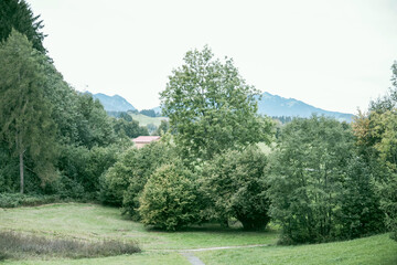 Obraz premium Alpenlandschaft