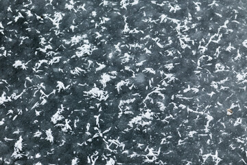 Snowflakes on the frozen lake