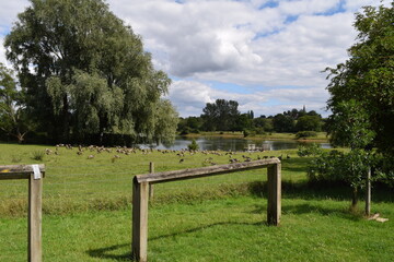 park in spring