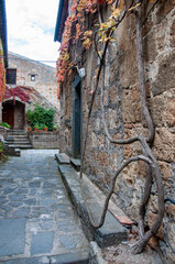 buildings of the village of Civita di Bagnoregio, Lazio, Italy