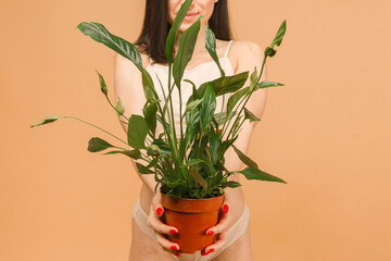 Close up photo of attractive young woman in underwear smiling while standing and holding plant against beige background.