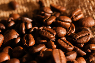 Macro closeup of pile fresh roasted organic coffee beans on jute fabric sack (focus on center)