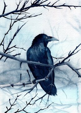 Watercolor illustration of a raven sitting on a tree branch under falling snow on a white snowy background