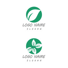 Leaf icon Vector Illustration design Logo template
