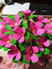 agriculture, plant, green, field, garden, vegetable, food, nature, leaf, organic, farm, growing, tobacco, growth, gardening, grow, crop, farming, soil, fresh, plants, flower, healthy, summer, plantati