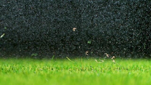 Golf club hits a golf ball in a super slow motion at 1000 fps. Drops of morning dew and grass particles rise into the air.