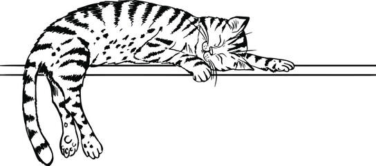 a tabby cat lies on a crossbar and sleeps, a black-and-white contour drawing by hand, a coloring book, a page for coloring. white background