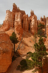 Bryce Canyon Landscape With Hoodoo Pinnacles Dominating the Image at the Top of the Frame