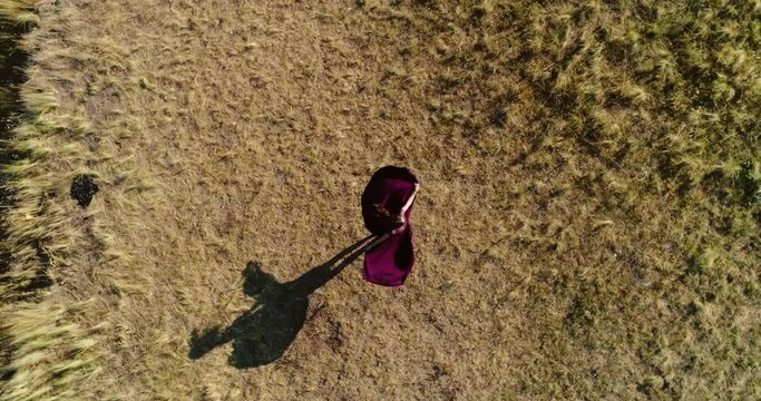 Young woman in a purple dress is whirling in the middle of dry grass in summer. Drone shooting