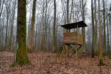 hunting tower made by wooden planks in forest