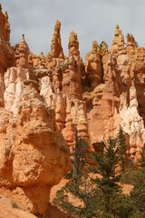 Bryce Canyon Landscape With red Sandstone Hoodoos Filling the Frame Formed by Wind and Weather