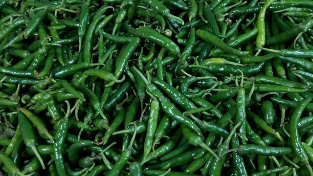 green chilli in market