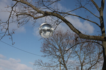 Tree branches on the blue cloudy sky background
