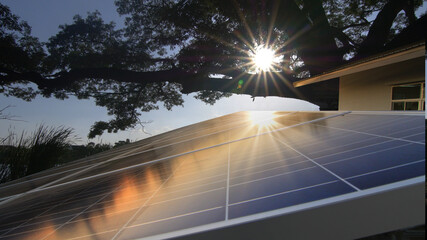 Solar panels with sunlight pass through the big tree