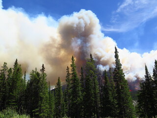 a cloud of smoke in front of the sun, Spreading Creek Wildfire 07-04-2014 close to the Saskatchewan River Crossing, Banff National Park, Icefields Parkway, Rocky Mountains, Alberta, Canada, July