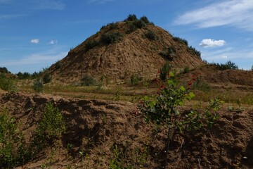 Sand quarries in the village of Sychevo, Volokolamsk district, Moscow region