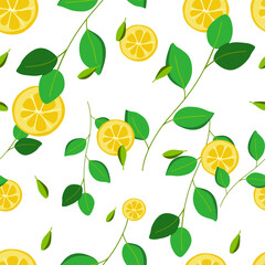 pattern on a white background with lemon slices and branches of a lemon tree with leaves, small cardamom seeds.