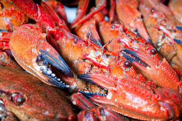  velvet crab  necora cooked , sellfish seafood background