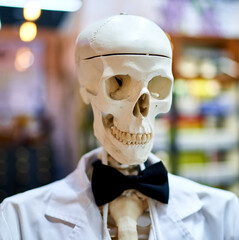 human skeleton mannequin stands in the room