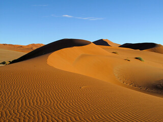 D&uuml;nenlandschaft in Afrika mit Sandwellen und blauem Himmel