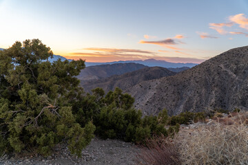 Plakat Beautiful sunset view overlooking Keys View in Joshua Tree National Park, California