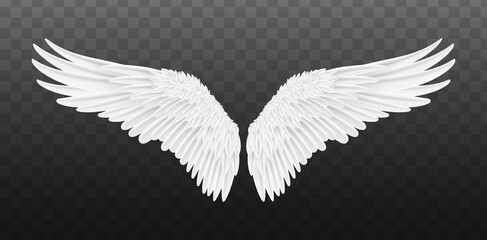 Pair of beautiful white angel wings isolated. Vector concept white cute feathered wing animal on a transparent background - obrazy, fototapety, plakaty