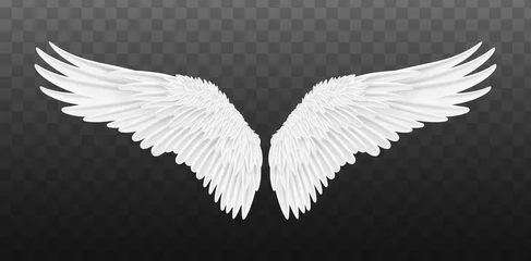 Fotobehang Pair of beautiful white angel wings isolated. Vector concept white cute feathered wing animal on a transparent background © SERHII