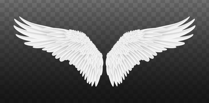 Pair of beautiful white angel wings isolated. Vector concept white cute feathered wing animal on a transparent background