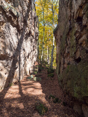 Sandstone rock wall, gate or tunnel at colorful autumn deciduous tree forest at sunny day. Nature park Kokoronsko, Czech republic