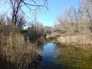 The beautiful scenery of the Sespe River, that runs through the Los Padres National Forest, California.
