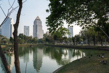 Lumpini Park, public park in central Bangkok, Thailand