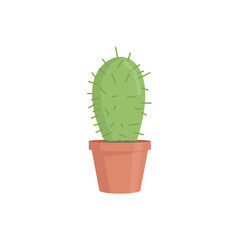 Cactus base.