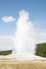 geyser Hot Springs Yellowstone Nationalpark