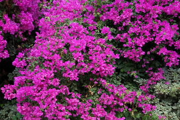 Walking in Jerusalem