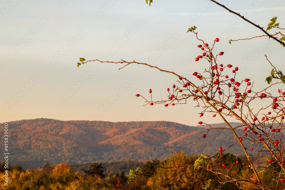 Poster autumn in the mountains