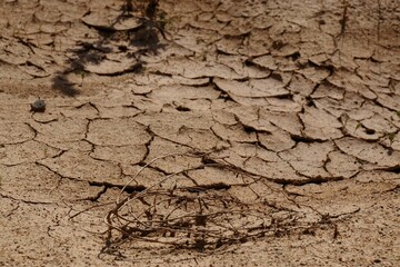 Cracked sand quarry in Sychevo, Moscow region