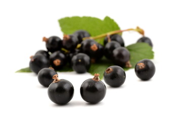 Black currant isolated on a white background. Fresh berries for health. 