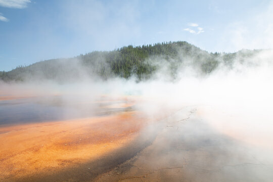 Hot Springs Yellowstone National Park