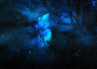 3d fairy in night forest with river